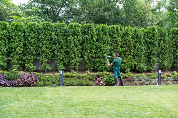 Centuria, WI Tree Services Company