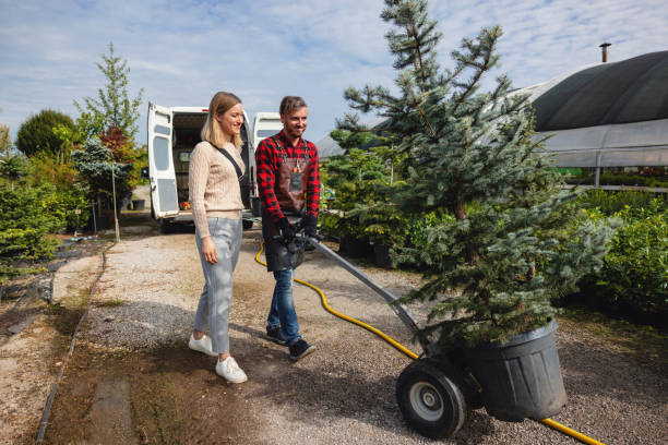How Our Tree Care Process Works  in  Centuria, WI